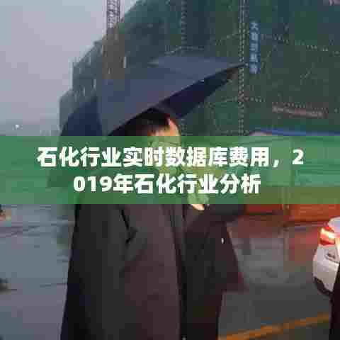石化行业实时数据库费用，2019年石化行业分析 