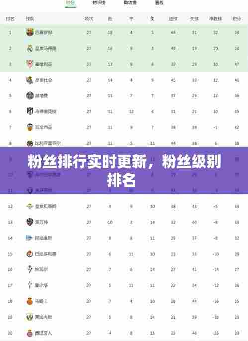 粉丝排行实时更新，粉丝级别排名 