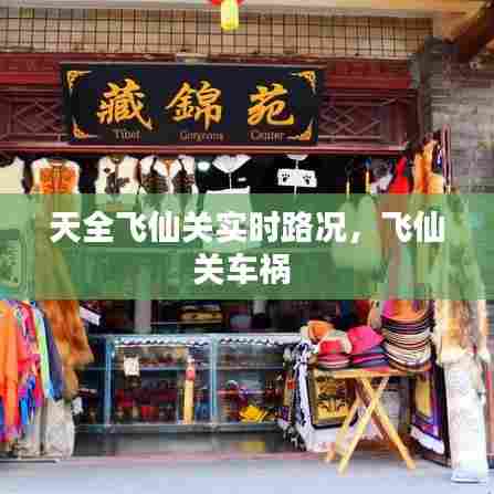 天全飞仙关实时路况,飞仙关车祸