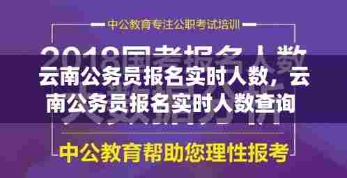 云南公务员报名实时人数,云南公务员报名实时人数查询