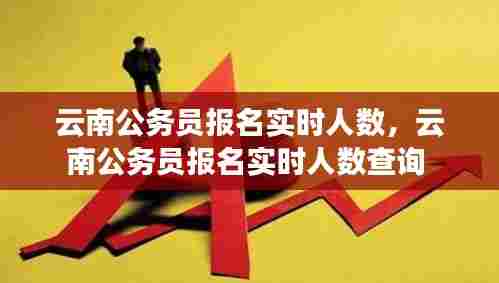 云南公务员报名实时人数,云南公务员报名实时人数查询