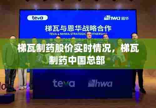 梯瓦制药股价实时情况,梯瓦制药中国总部