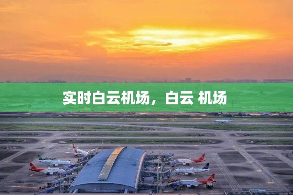 实时白云机场,白云 机场