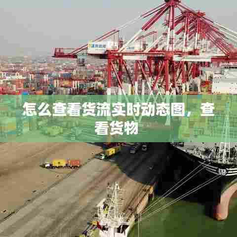 怎么查看货流实时动态图,查看货物