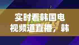 实时看韩国电视频道直播，韩国电视台韩国电视直播 