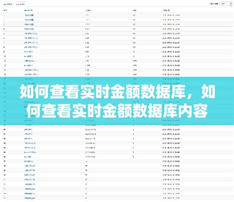 如何查看实时金额数据库，如何查看实时金额数据库内容 