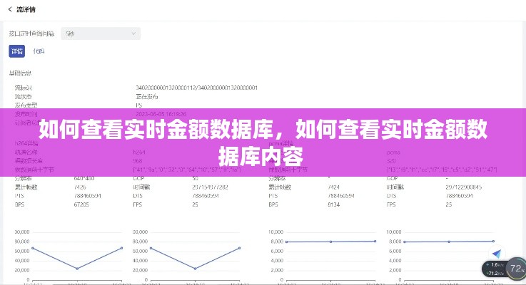 如何查看实时金额数据库,如何查看实时金额数据库内容
