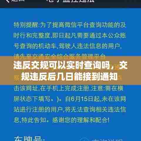 违反交规可以实时查询吗,交规违反后几日能接到通知