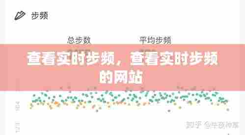 查看实时步频，查看实时步频的网站 