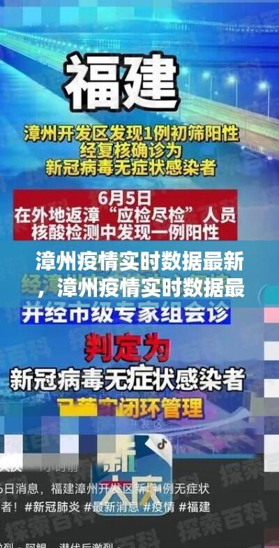漳州疫情实时数据最新，漳州疫情实时数据最新情况 