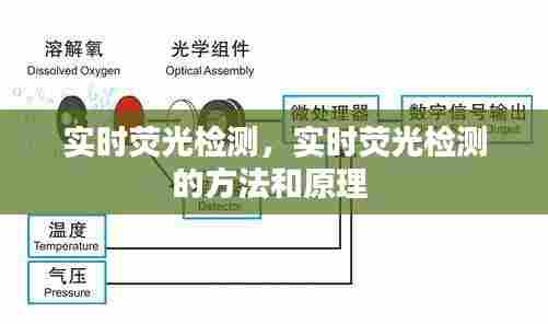 实时荧光检测，实时荧光检测的方法和原理 