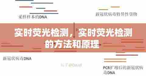 实时荧光检测,实时荧光检测的方法和原理