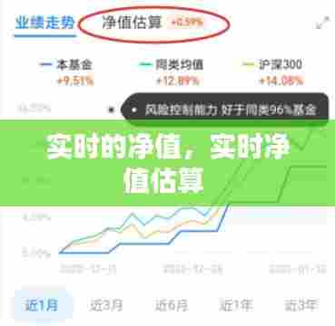 实时的净值,实时净值估算