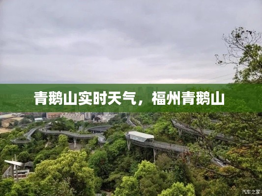 青鹅山实时天气,福州青鹅山
