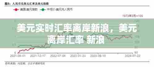 美元实时汇率离岸新浪，美元离岸汇率 新浪 