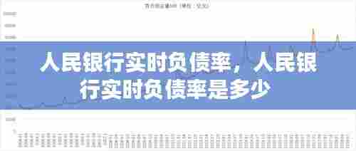 人民银行实时负债率,人民银行实时负债率是多少