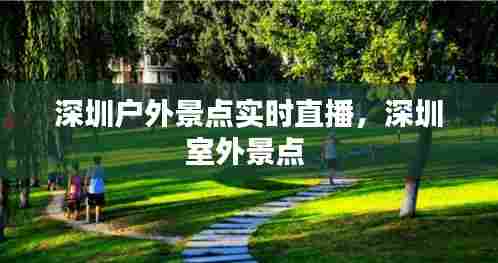 深圳户外景点实时直播,深圳室外景点