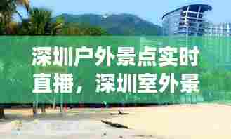 深圳户外景点实时直播,深圳室外景点