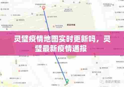 灵璧疫情地图实时更新吗，灵璧最新疫情通报 