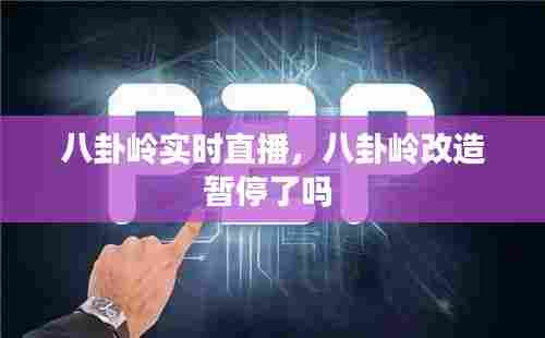 八卦岭实时直播，八卦岭改造暂停了吗 