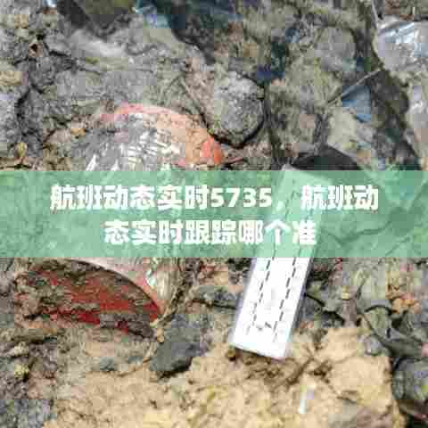 打马虎眼 第6页