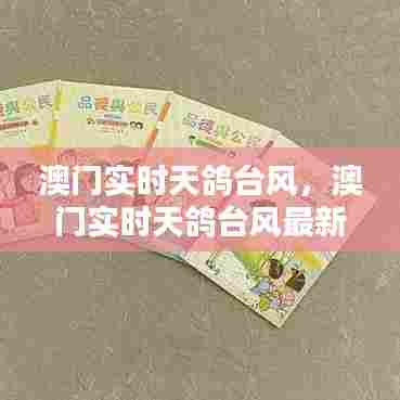 澳门实时天鸽台风,澳门实时天鸽台风最新消息