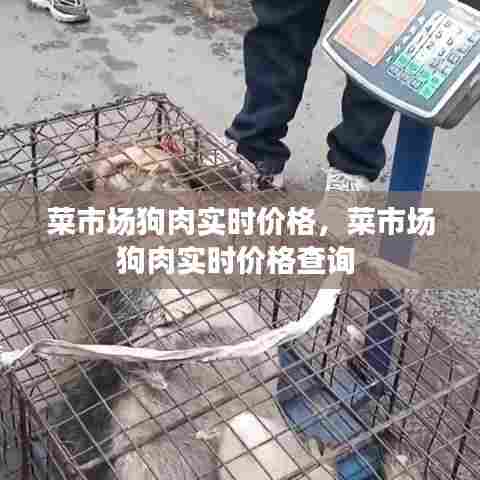 菜市场狗肉实时价格，菜市场狗肉实时价格查询 
