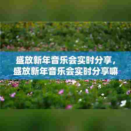 盛放新年音乐会实时分享,盛放新年音乐会实时分享嘛