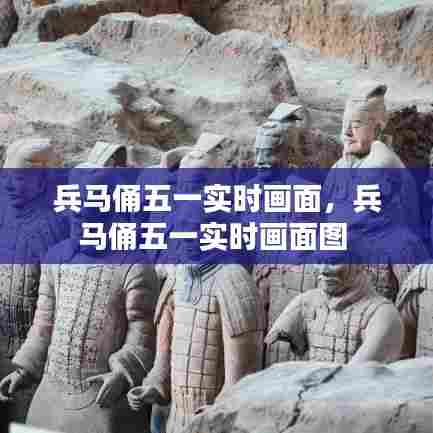 兵马俑五一实时画面,兵马俑五一实时画面图