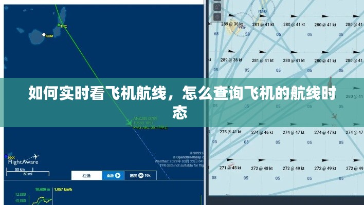 如何实时看飞机航线，怎么查询飞机的航线时态 