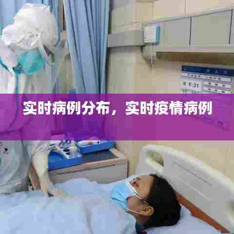 实时病例分布，实时疫情病例 
