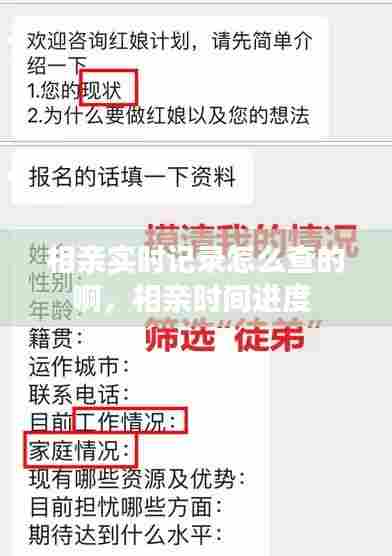 相亲实时记录怎么查的啊，相亲时间进度 