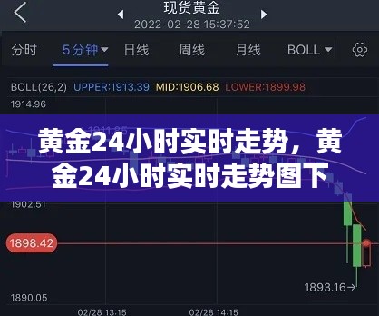 黄金24小时实时走势,黄金24小时实时走势图下载手机版