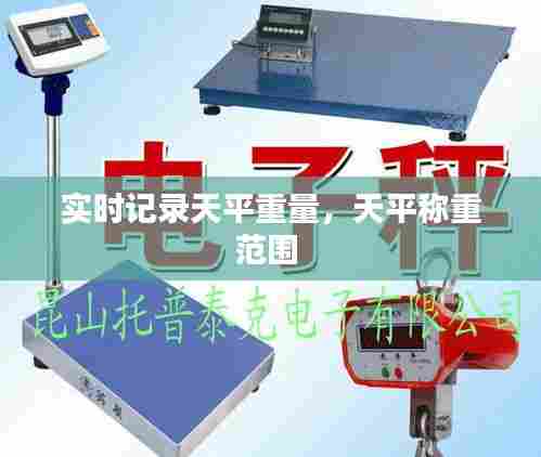 实时记录天平重量，天平称重范围 