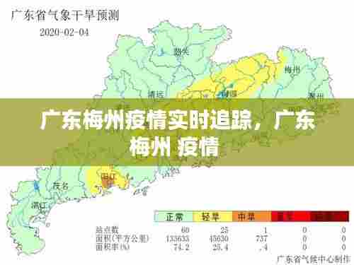 广东梅州疫情实时追踪，广东梅州 疫情 