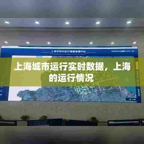 上海城市运行实时数据,上海的运行情况