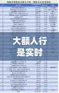 大额人行是实时清算吗,人行大额清算时间