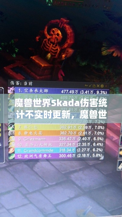 魔兽世界Skada伤害统计不实时更新，魔兽世界伤害数据 