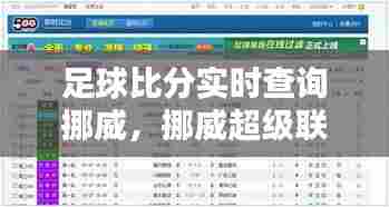 足球比分实时查询挪威，挪威超级联赛即时比分 