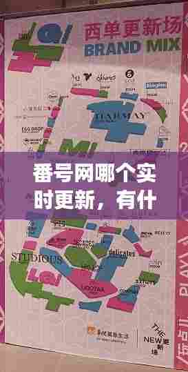 番号网哪个实时更新,有什么好的番号网站吗