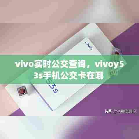 vivo实时公交查询，vivoy53s手机公交卡在哪 