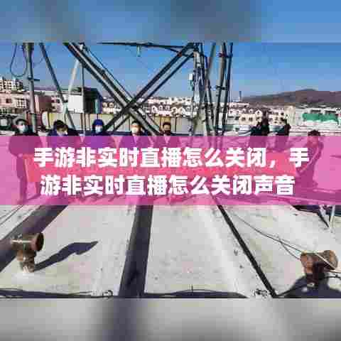 手游非实时直播怎么关闭,手游非实时直播怎么关闭声音