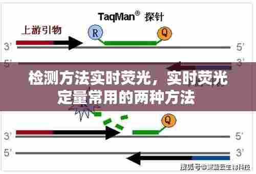 检测方法实时荧光,实时荧光定量常用的两种方法