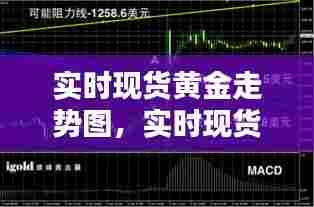 实时现货黄金走势图,实时现货黄金走势图最新