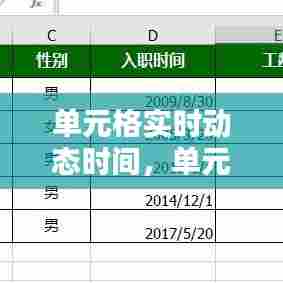 单元格实时动态时间,单元格自动显示时间