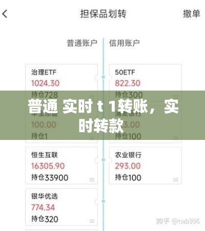 普通 实时 t 1转账，实时转款 