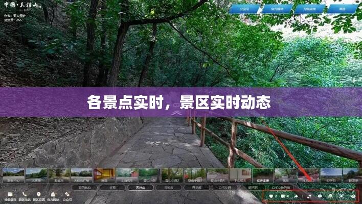 各景点实时,景区实时动态