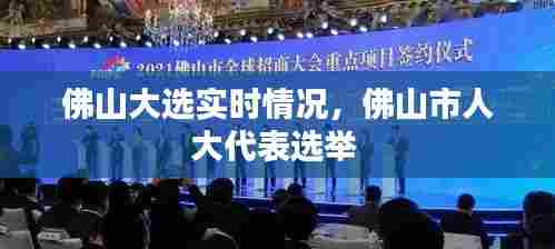 佛山大选实时情况，佛山市人大代表选举 