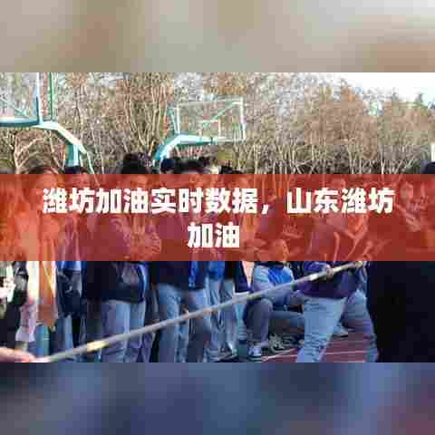 潍坊加油实时数据，山东潍坊加油 
