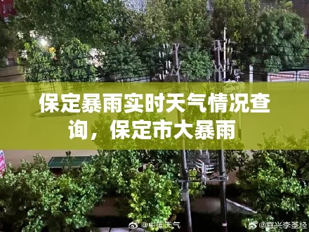 保定暴雨实时天气情况查询，保定市大暴雨 